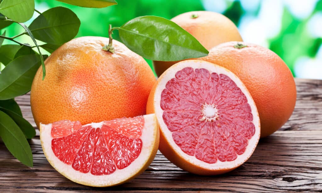 Grapefruit