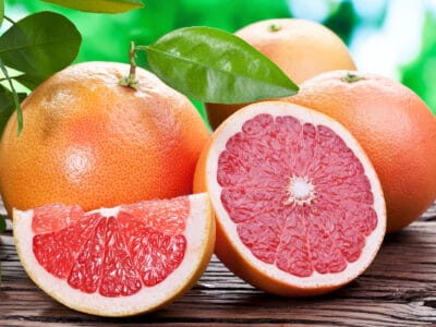 A The 10 Largest Citrus Fruits