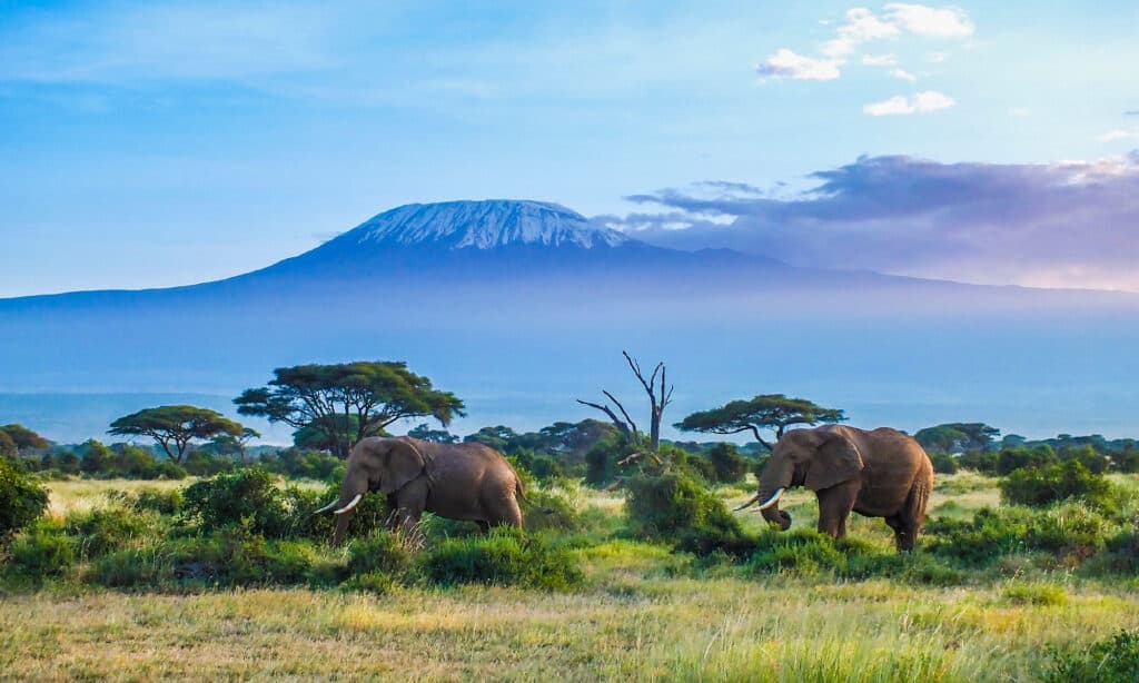 Mount Kilimanjaro, Tanzania