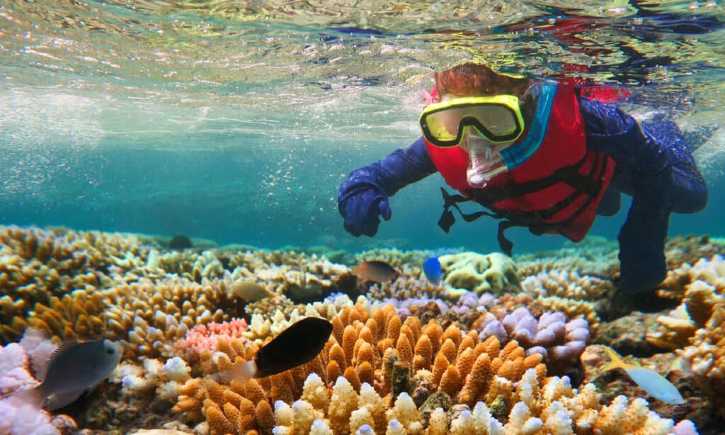 Great Barrier Reef, Australia