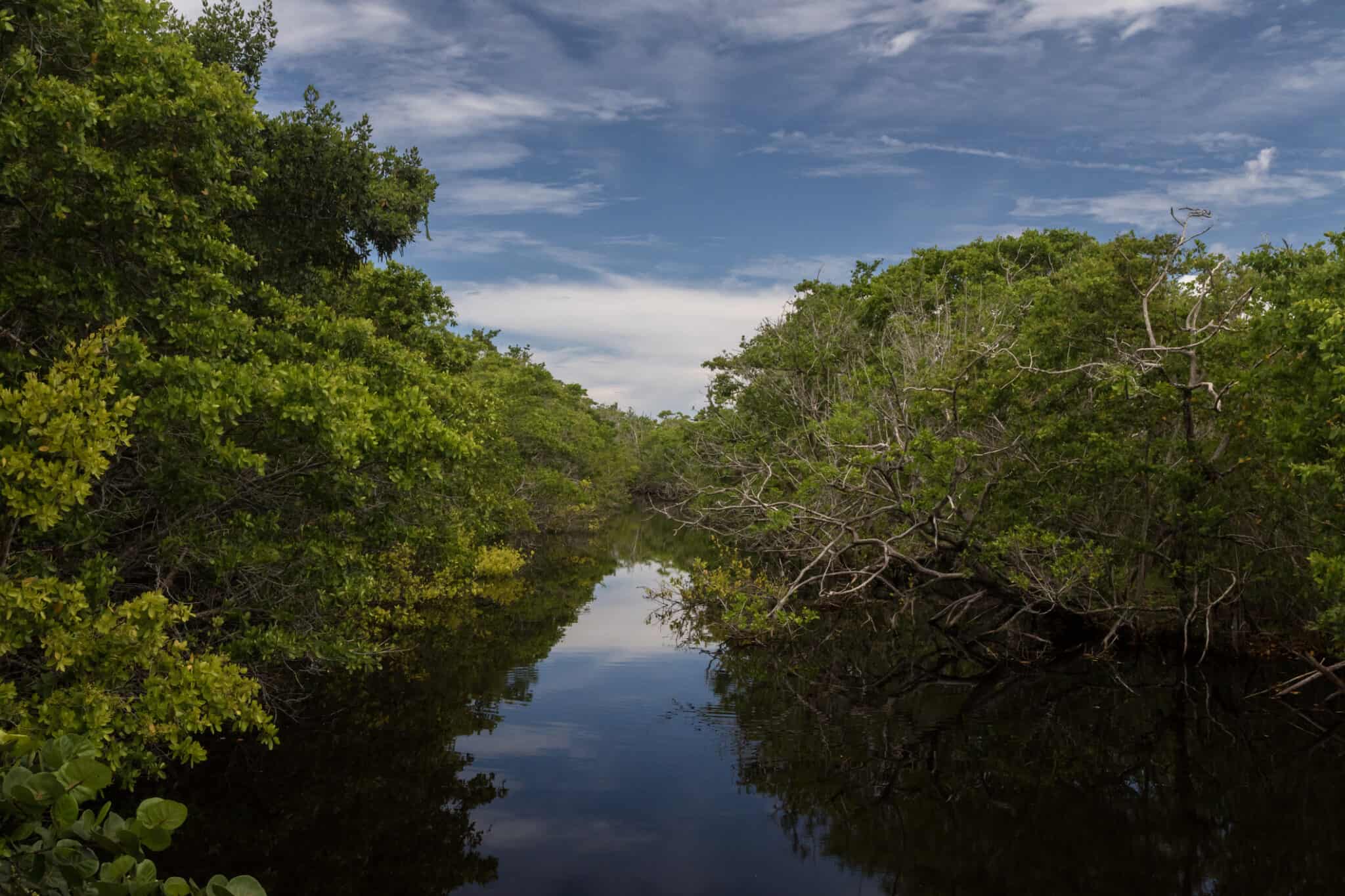 Discover Largest Counties In Florida By Population AZ Animals Discover largest counties in florida by population az animals