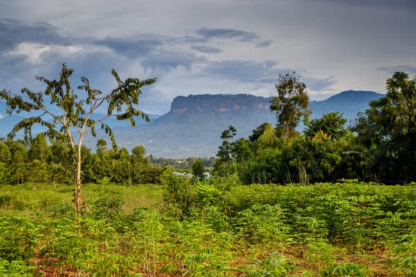 Uganda nature with the Mount Elgon national park in the background. This is close to Mbale.