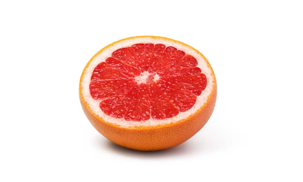 Grapefruit