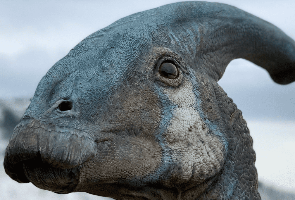 Parasaurlophus reconstruction