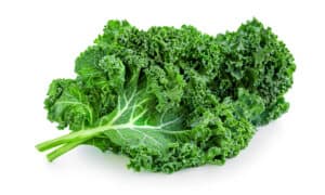 Can Dogs Eat Kale? Is It Healthy or Toxic? Picture