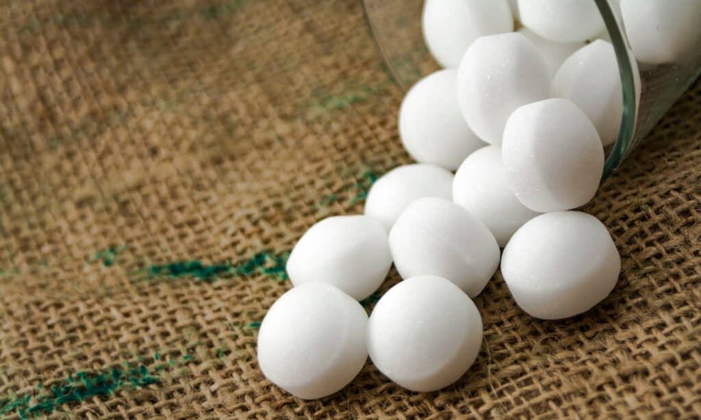 Mothballs: 10 Important Facts to Know - Food Storage Moms