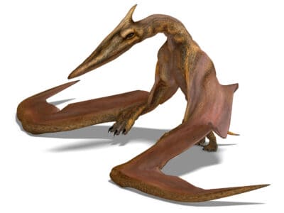 A Meet Quetzalcoatlus: The 50-Foot Flying Dinosaur in Jurassic World Dominion