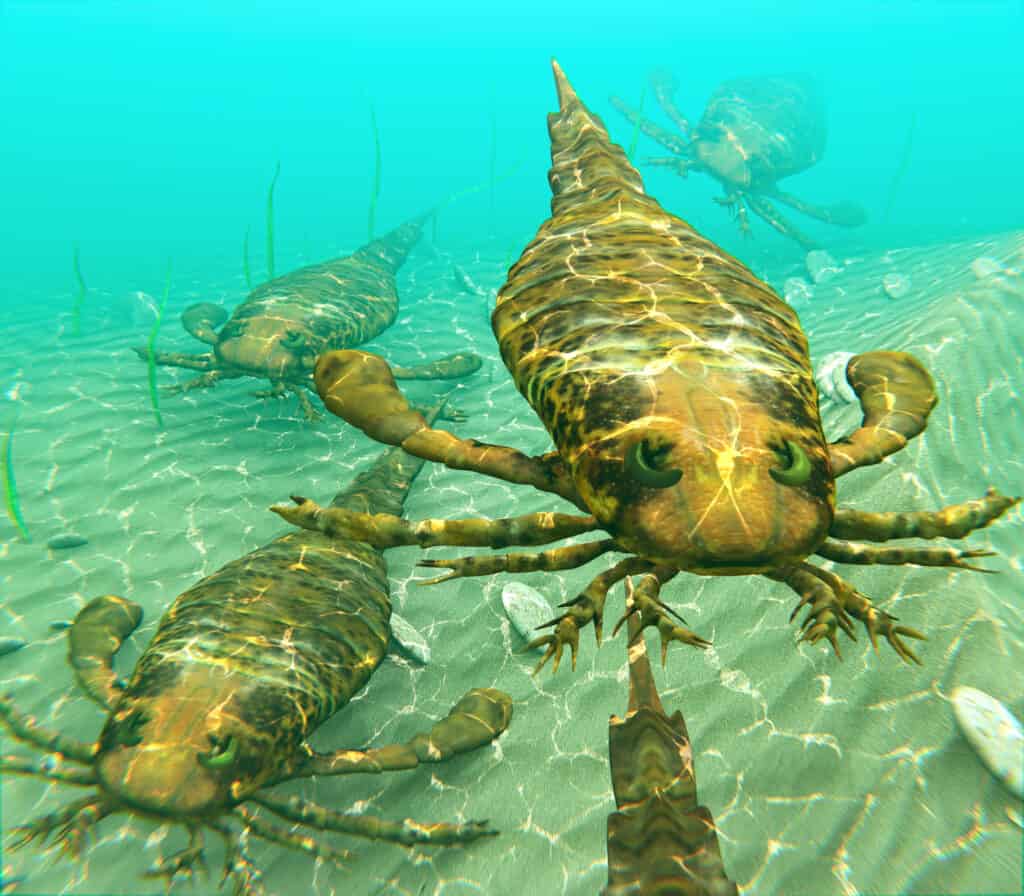 sea scorpions