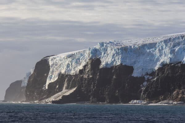 Even though only 7% of Bouvet Island isn't covered in glaciers, animals use the remaining land as a breeding ground.