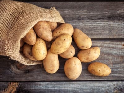 A Discover 18 Popular Types of Potatoes: Taste Profiles and Best Uses!