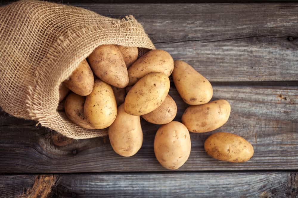 Are potatoes shop toxic to cats