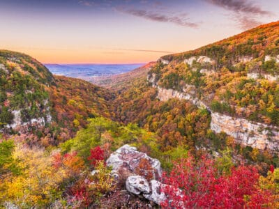 A Discover 9 Incredible Places to See Fall Foliage Near Atlanta
