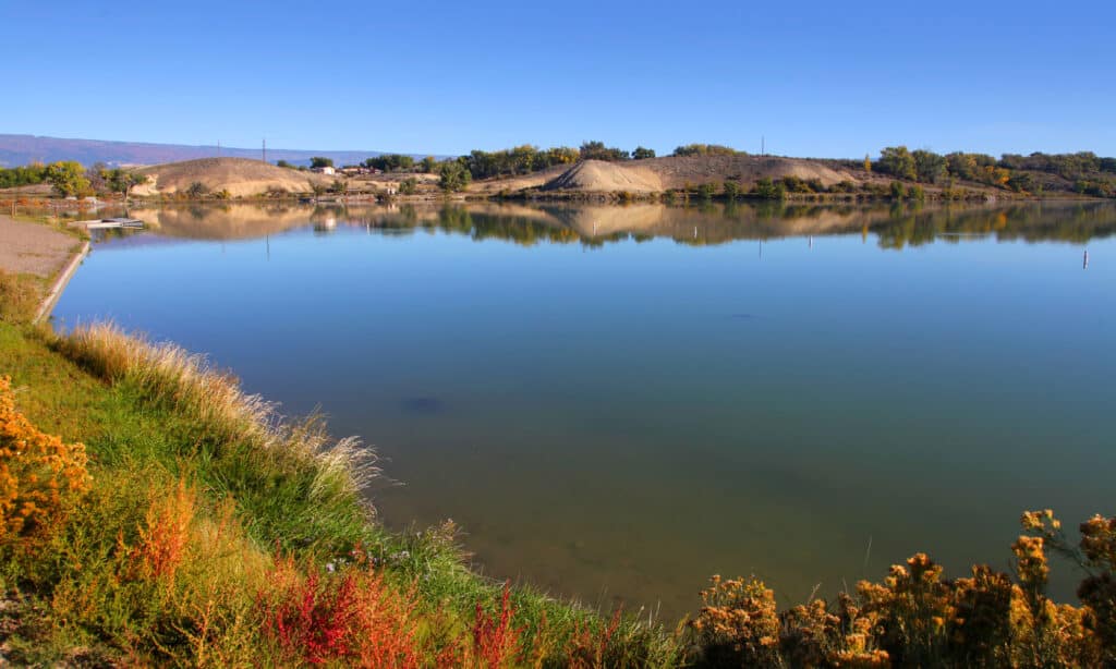 Sweitzer lake state park in Colorado