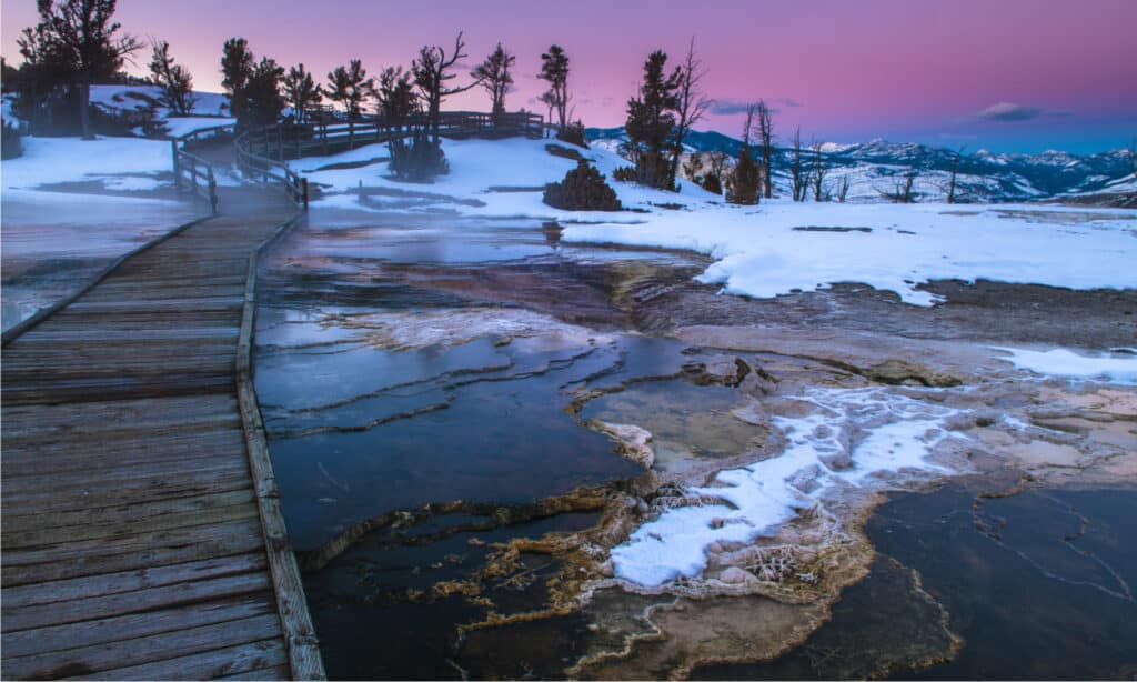 Yellowstone in November