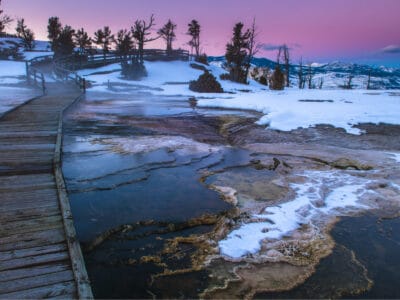 A Yellowstone in Winter: The Complete Guide