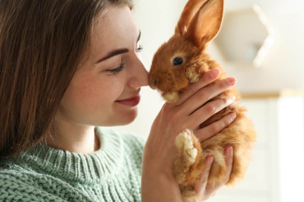 Young woman with adorable rabbit indoors, closeup. Lovely pet