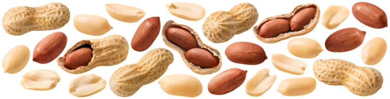Peanuts with and without shells on a white background