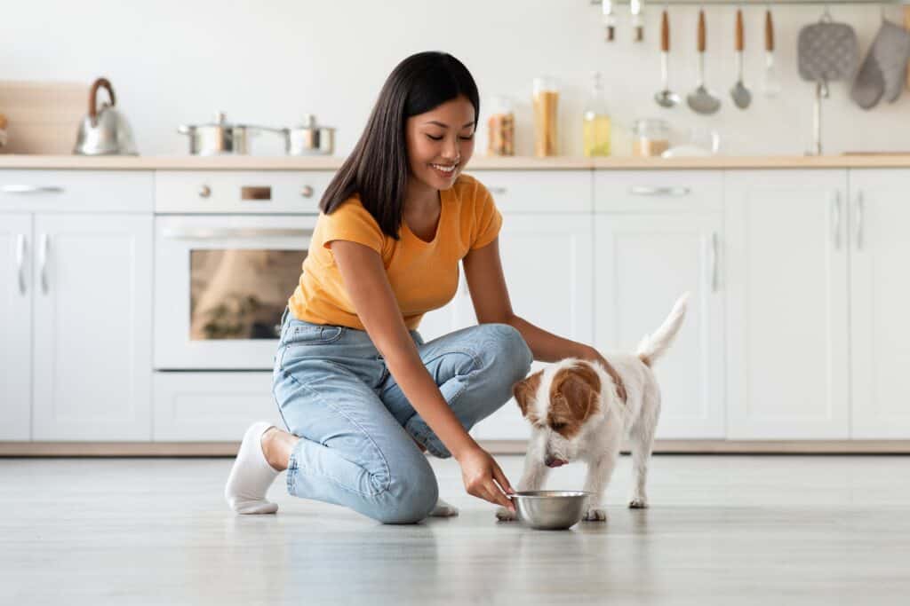 Woman feeding dog