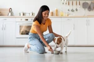 Can Dogs Eat Tuna? Is It Safe? Picture
