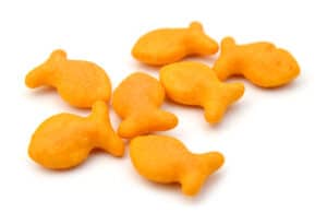 Are Goldfish Crackers Safe for Dogs to Eat? Picture