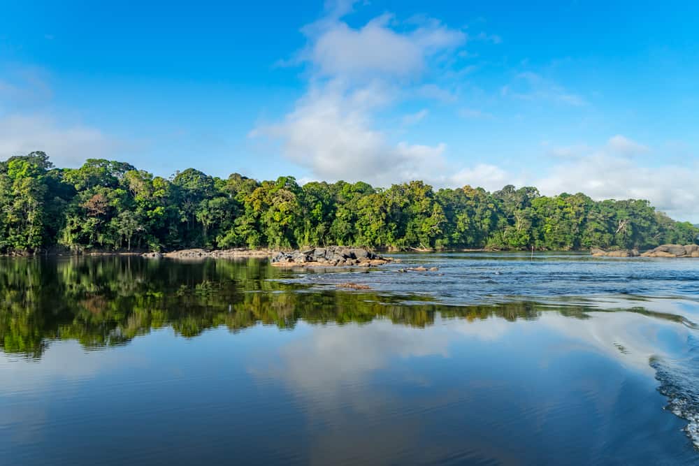Essequibo river trip Views around Guyana's Interior and rainforest