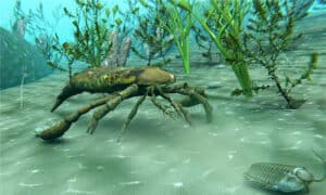 Discover the Ancient Sea Scorpion with a Deadly Spiked Tail Picture
