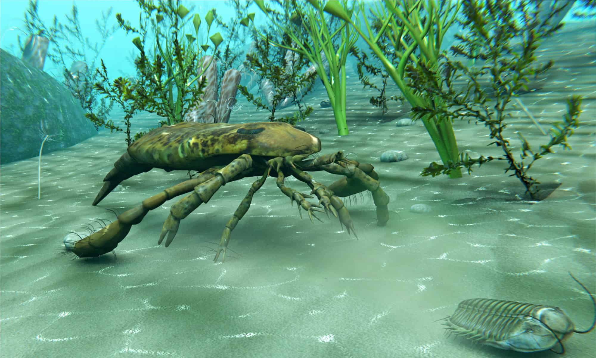 giant prehistoric scorpion