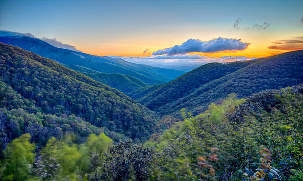 View of lush mountains and clouds from Blue Ridge Parkway, North Carolina