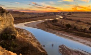 Discover Why North Dakota Is Called the Peace Garden State photo