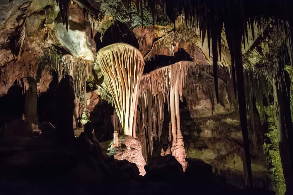 Parachute shield cave formations in Lehman Caves in Nevada’s Great Basin National Park