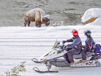 A Yellowstone in December: Things to Do, Weather, and More