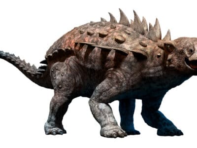 A Meet The Dinosaur That Looked Like Bowser From Mario, With Giant Spikes