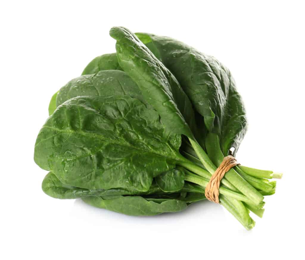 can dogs eat spinach