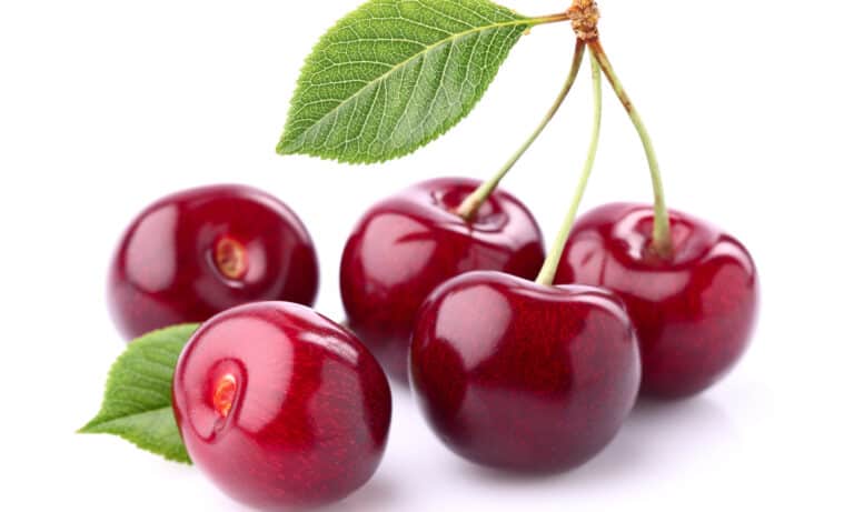 Sweet cherries with stems on white background