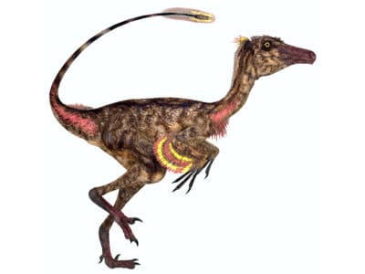 A 7 Dinosaurs that Lived in North Dakota (And Where to See Fossils Today)
