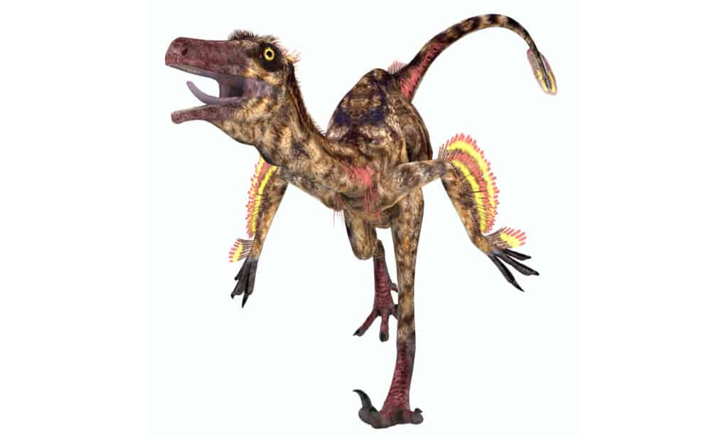 3D rendering of a troodon running on a white background