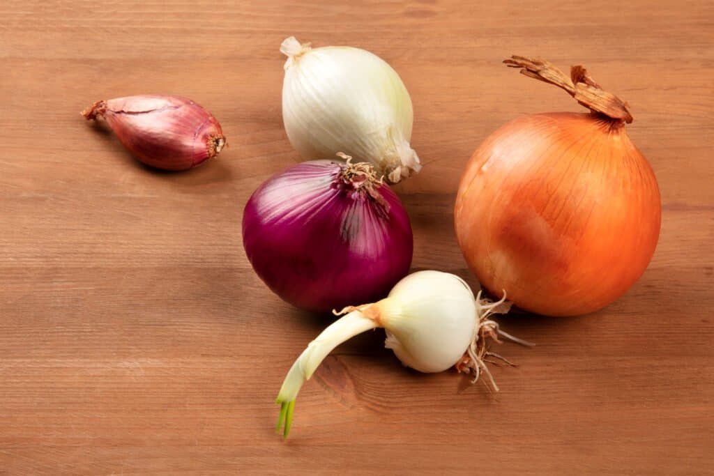 types of onion