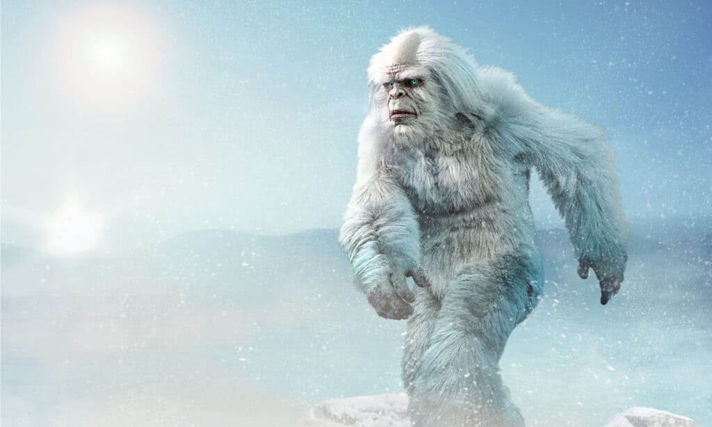 Yeti - aka abominable snowman