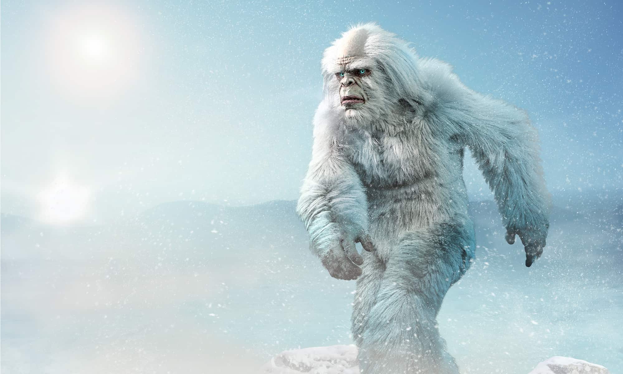 10 things you may not know about the Yeti