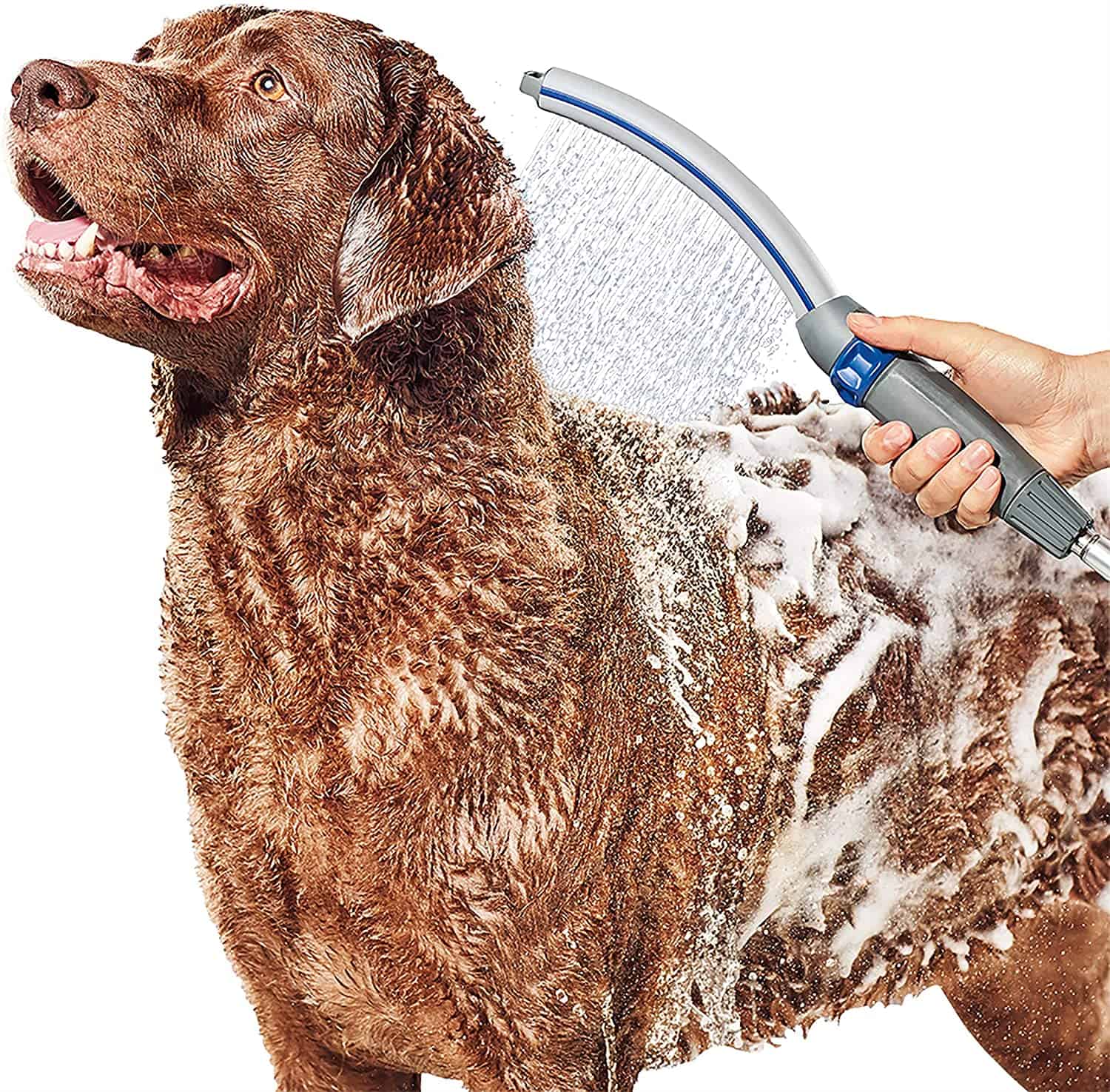 1. Waterpik Pet Wand Pro Dog Shower Attachment