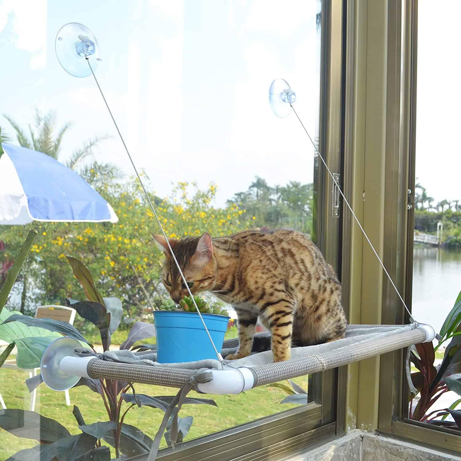 2. Pupagree Cat Window Hammock Cat Window