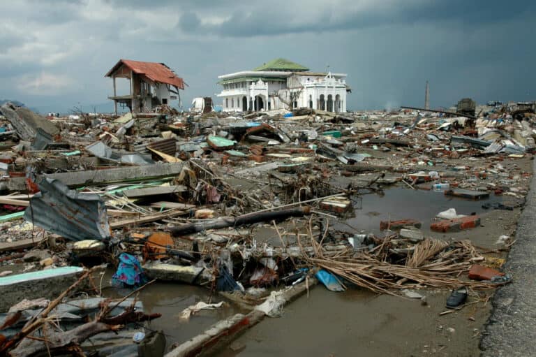 2011 Tohoku Earthquake