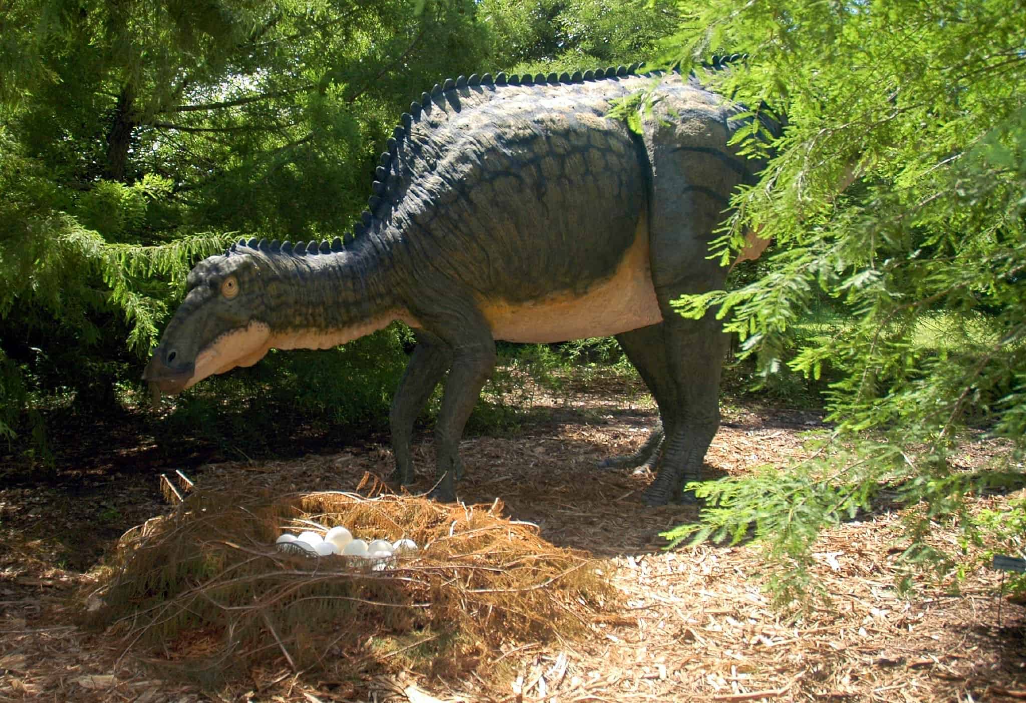 5 Dinosaurs That Lived In North Carolina (And Where To See Fossils ...