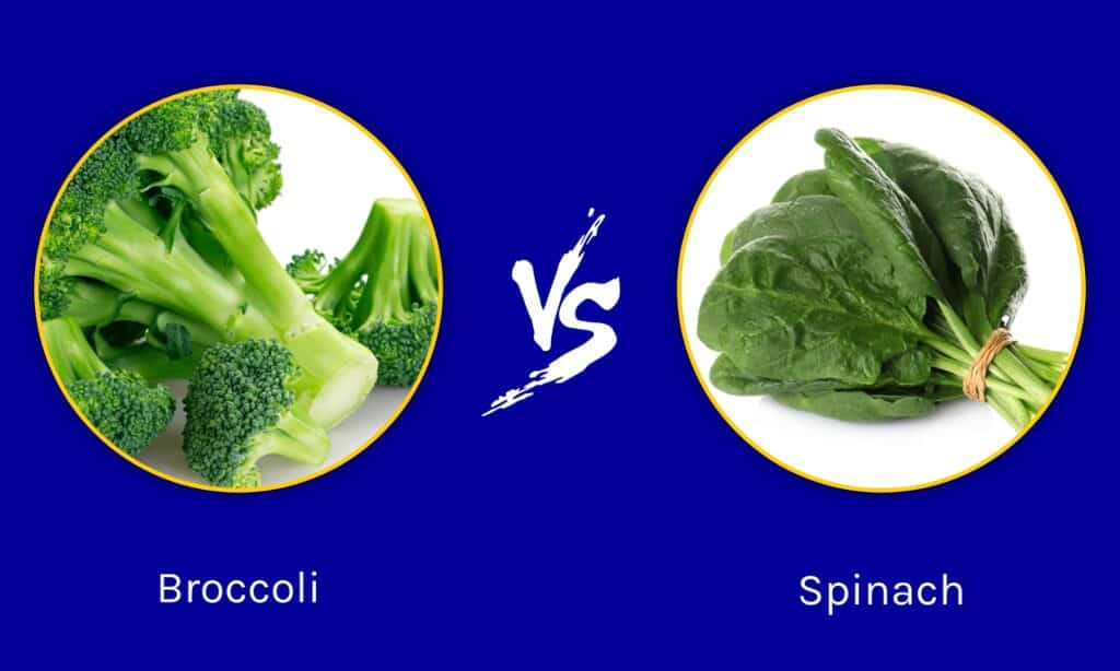 Bông cải xanh vs rau bina