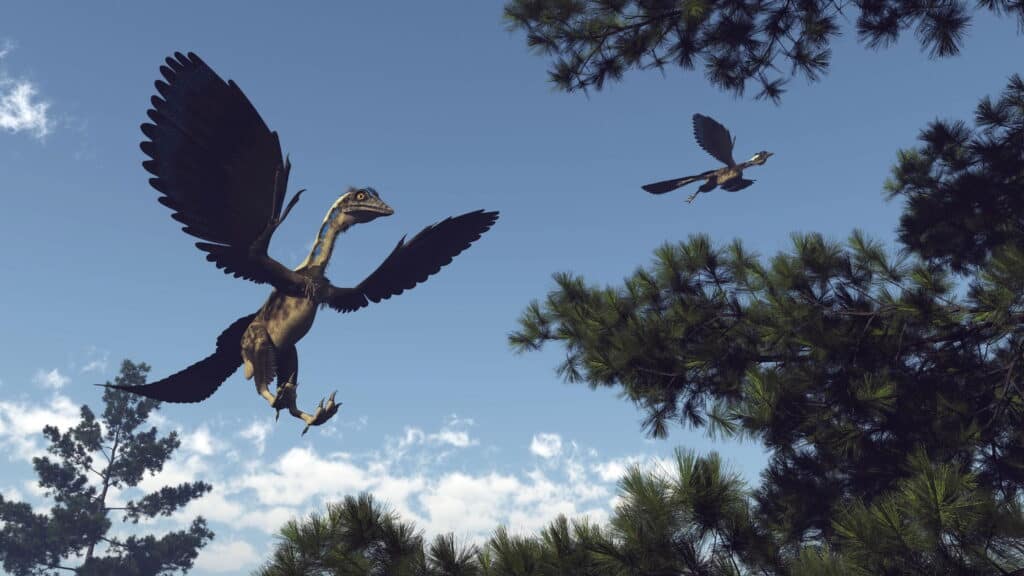 Archaeopteryx flying