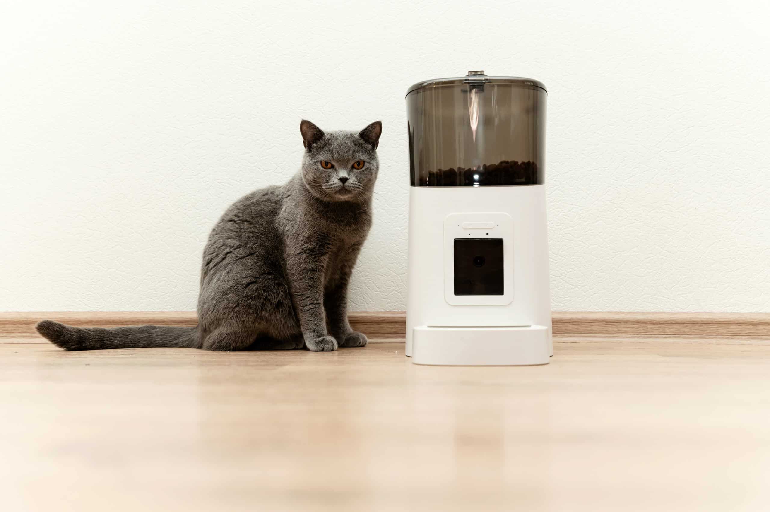 Automatic wet cat food feeders