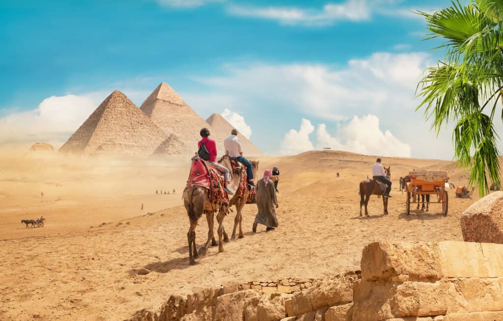 Camels in sandy desert