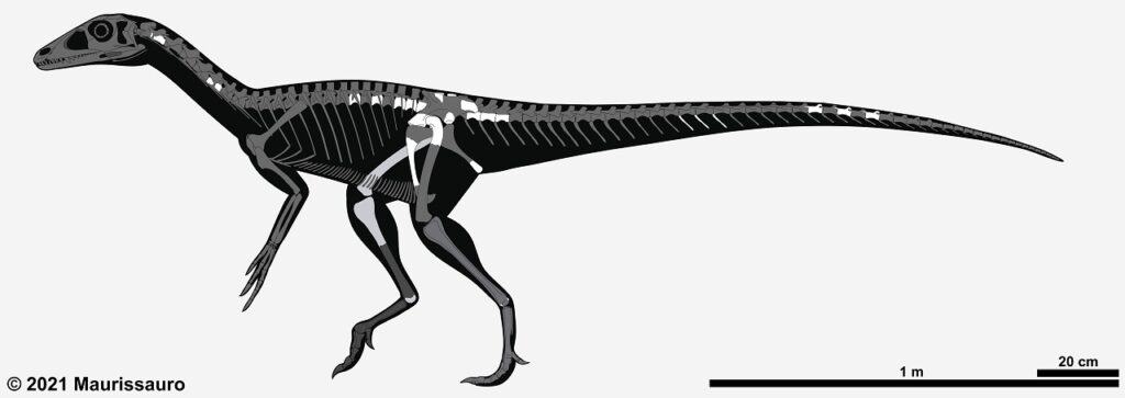 チンデサウルス