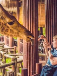 10 Largest Zoos in the World in 2024 Picture