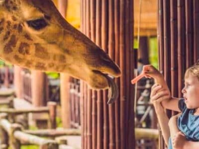 A 10 Largest Zoos in the World